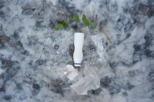 Biodegradable Phone Cases: Protecting Devices and the Planet